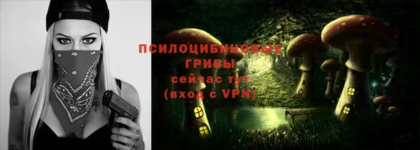 марки nbome Аркадак