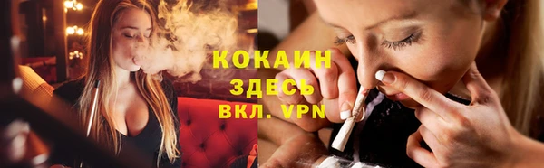 спайс Арсеньев