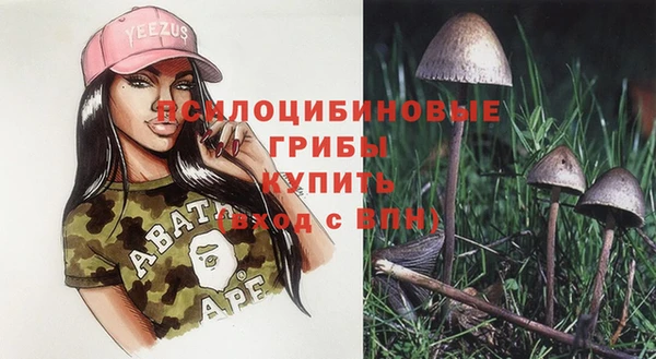спайс Арсеньев